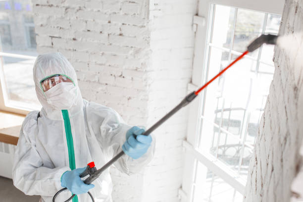 Best Mold Odor Removal Services  in Luverne, AL