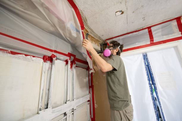 Best Commercial Mold Inspection  in Luverne, AL