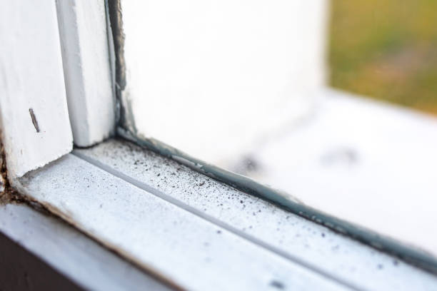 Biohazard Mold Removal in Luverne, AL